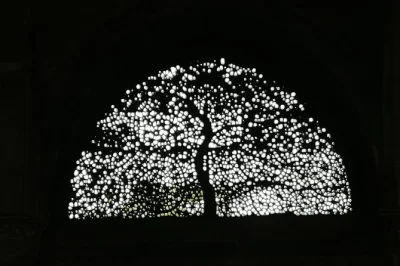 Descubra os patrimônios da unesco em ahmedabad de carro particular. visite o sabarmati ashram, poços escavados, templos jain e a famosa Árvore da vida. guia e almoço inclusos.