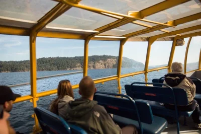 Vivi un tour di whale watching da vancouver con guida naturalista: orche, megattere e aquile. include transfer, giacche, snack e garanzia avvistamento.