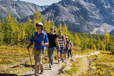Breathe in the wild air of banff & lake louise on a small group hike, guided by locals. includes pickup, hiking poles, and a packed lunch for the trail.