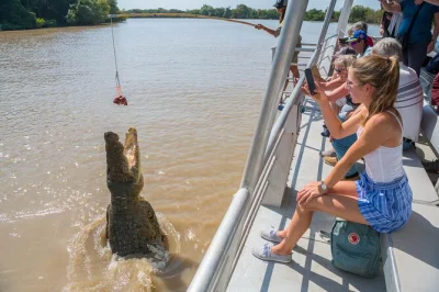 Feel the thrill of a jumping crocodile cruise on the adelaide river, guided by indigenous locals, with coffee or tea included. book for ethical wildlife encounters.