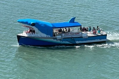 Vivez l’aventure à clearwater beach avec la croisière mega bite : montez à bord d’un bateau en forme de requin, observez les dauphins joueurs et découvrez les maisons de célébrités. croisi