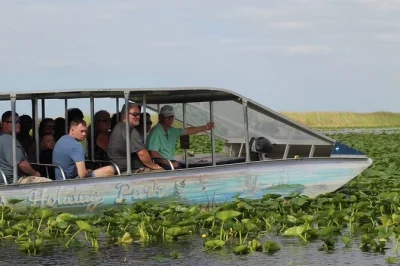 Découvrez la nature sauvage des everglades près de miami lors d’une balade en petit groupe en airboat, avec prise en charge à l’hôtel, guide local et rencontre avec des alligators sauvés.