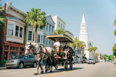 Let a local guide lead you by horse-drawn carriage past charleston’s historic homes, churches, and gardens. includes certified guide, draft horses, and easy boarding.