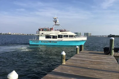 Feel the excitement of spotting wild dolphins on an alabama gulf coast cruise. enjoy playful moments, local wildlife, and water battles—includes life jackets for all ages.