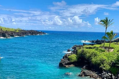 Entdecke mauis wilde seite auf der road to hana – regenwald, schwarzer sandstrand zum baden, frisches bananenbrot und mittagessen inklusive. abholung direkt vom hotel oder condo.