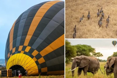 Float above tarangire at sunrise on a hot air balloon safari, spot elephants and giraffes, then celebrate with a champagne toast and bush breakfast. includes pickup.