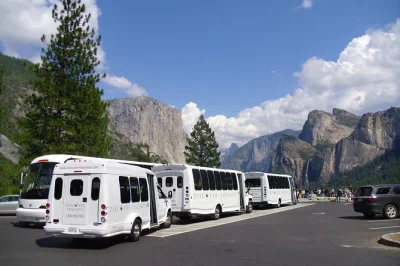 Découvrez les géants de yosemite, marchez sous les séquoias, ressentez la brume des cascades. déjeuner, snacks et prise en charge depuis oakhurst, bass lake ou alentours inclus.