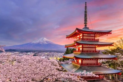 Scopri la maestosità silenziosa del monte fuji, passeggia tra i fiori del parco oishi e assaggia l’acqua pura di oshino hakkai, con autista privato che parla inglese e pick-up a tokyo.