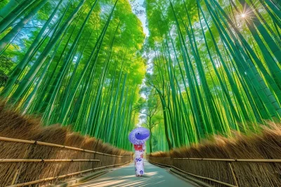 Erlebe kyotos bambushaine, treffe verbeugende hirsche im nara park und erkunde uralte schreine – inklusive abholung und geführtem transport ab kyoto oder osaka.