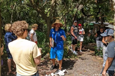 Entdecke st. petersburgs jungle prada mit freilaufenden pfauen und einer führung zum tocobaga indianerhügel. inklusive parken und spannende lokale geschichten.