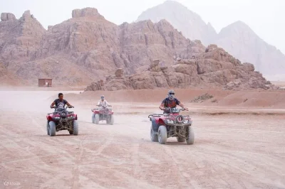 Feel the sinai desert on an atv quad, ride camels to echo mountain, and share bedouin tea at sunset. includes hotel pickup and local guide for easy booking.
