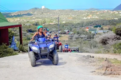 Feed rescued animals, ride rugged trails to alto vista chapel, and cool off in a cave pool on this aruba atv tour with hotel pickup and local guide included.