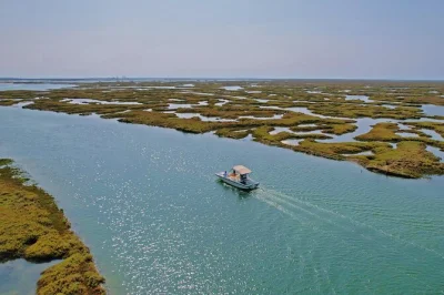 Entdecke die ruhige lagune der ria formosa bei faro auf einer solarbetriebenen Öko-bootstour mit lokalem guide. inklusive live-kommentar und unkomplizierter anmeldung.