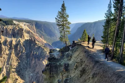 Feel the spray at upper falls, wander pine forests, and share lunch with canyon views on this yellowstone hike. includes guide, snacks, and all gear.