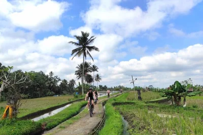 Feel the breeze as you ride an e-bike from ubud to tegallalang rice terraces, meet locals in petulu village, enjoy a balinese lunch, and relax with hotel pickup.