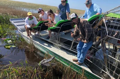 Découvrez les everglades de miami en airboat : observez alligators, plantes rares et animaux sauvages en 60 minutes. eau en bouteille et groupe réduit inclus.