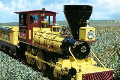 Erlebe die north shore von oahu mit einem ausflug zur dole plantation und dem charmanten haleiwa town – inklusive komfortablem bus, snacks und wasser.