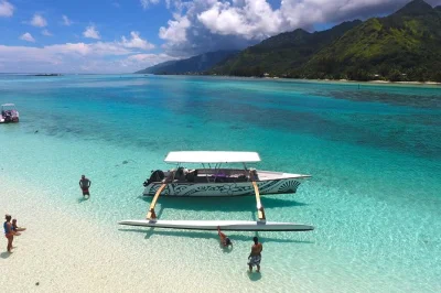 Swim with stingrays, snorkel moorea’s lagoon, and learn to make poisson cru on a motu. small-group tour includes pickup, guide, and barbecue lunch by the sea.