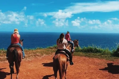 Erlebe eine geführte reittour mit hawaiianischen cowboys auf der circle m ranch in maui. entdecke tiere und genieße atemberaubende pazifikblicke. inklusive ausrüstung und sicherheitseinweisung.
