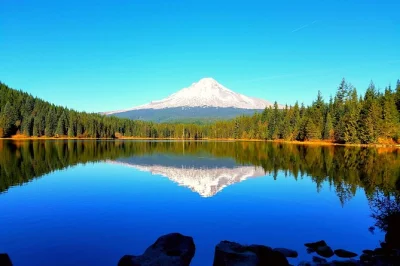 Feel the spray at multnomah falls, wander old-growth forests, and relax in hood river—this columbia gorge & mt. hood day trip from portland includes pickup and local guide.