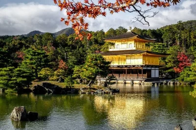 Lose yourself in kyoto’s temples, bamboo groves, and hidden lanes on a private day tour with transport, local guide, and entry fees included for a smooth journey.