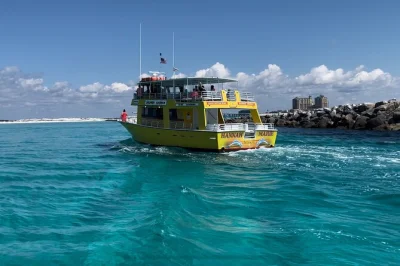 Découvrez destin lors d’une croisière dauphins près de crab island, profitez des couleurs du coucher de soleil et observez la vie marine depuis un bateau à fond de verre. snacks et accès adapt