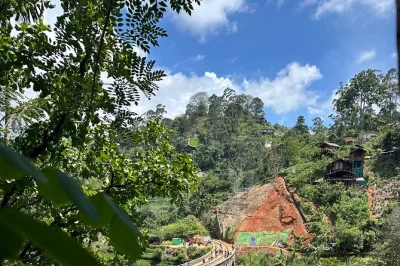 Let a local driver guide you through sri lanka’s landscapes, stories, and flavors. includes airport pickup, flexible routes, and local insights for every traveler.