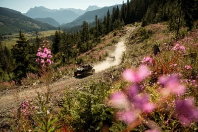 Découvrez whistler autrement avec un tour en rzr tout-terrain : traversez ruisseaux, repérez la faune locale, guidés par des experts. casques et équipement fournis.