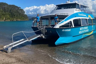 Disfruta un crucero en bay of islands con dos paradas en islas, paseo al mirador de roberton island y la famosa hole in the rock. incluye equipo de snorkel.
