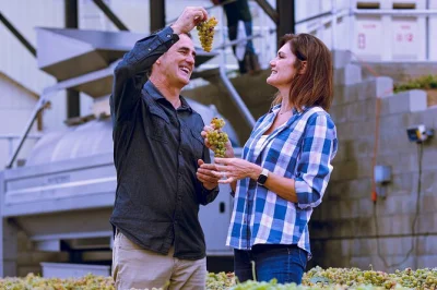 Entdecke temecula valley mit weinproben, picknick-mittagessen und hotelabholung. kleine gruppe, entspannter ablauf und traumhafte weinberg-aussichten inklusive.