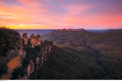 Feel the scale of the blue mountains on a day trip from sydney with scenic world rides, echo point views, and up-close moments with kangaroos and koalas. includes pickup.