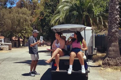 Descubra o charme único de avalon em um tour privado de carrinho de golfe pela ilha catalina. conheça moradores, cantinhos escondidos e histórias incríveis — inclui transporte, guia e água mine