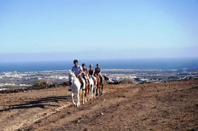 Feel the volcanic breeze on a gran canaria horse ride past maspalomas dunes and ocean views, with all gear included and stables just minutes from playa del ingles.