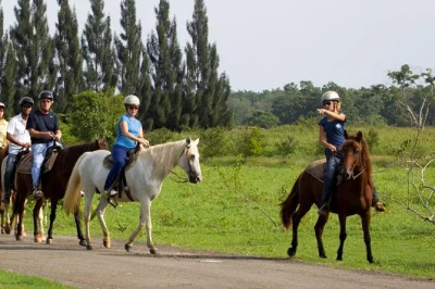 Feel the quiet rhythm of puerto rico’s countryside on horseback at hacienda campo rico, with hotel pickup from san juan and a local guide included.