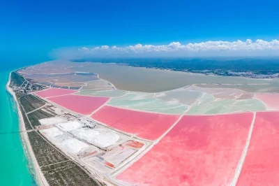 Las coloradas e río lagartos da mérida: laghi rosa, fenicotteri selvatici, tour in barca, spiagge tranquille, pranzo e ingressi inclusi.