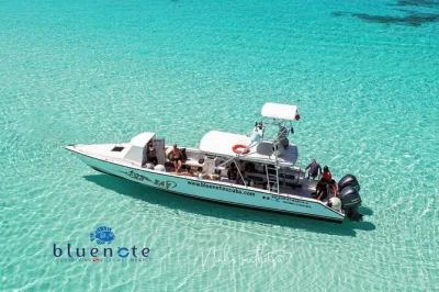 Explorez les récifs colorés de cozumel lors d’une plongée matinale 2 bouteilles en petit groupe, guidée par des locaux. bateau, déjeuner, matériel et attention personnalisée inclus.