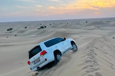 Feel the rush of dune bashing near abu dhabi, ride camels at sunset, and enjoy live shows with a local bbq dinner. includes hotel pickup and guide.