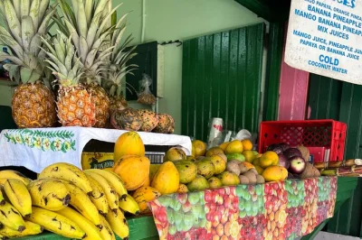 Feel the pulse of montego bay with a private tour—swim at doctor's cave beach, explore rose hall great house, shop hip strip, and enjoy jerk lunch. includes pickup.