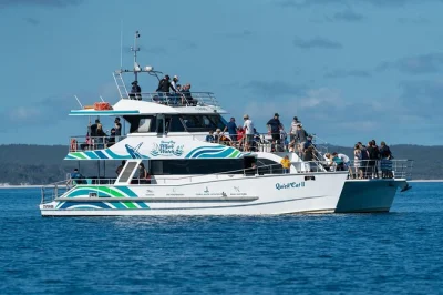 Feel the thrill of humpback whale watching in hervey bay, with local guides, 5 viewing decks, and tea or breakfast included. book a half-day cruise now.