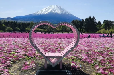 Scopri il fascino silenzioso del monte fuji da vicino, sali sulla funivia panoramica, passeggia sul lago kawaguchi ed esplora i santuari con un autista privato e orari flessibili da tokyo.