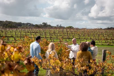 Curious about margaret river? sip boutique wines, hand-feed alpacas, taste fresh olive oils and enjoy lunch—all with local pickup and a relaxed pace.