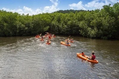 Feel the calm of antigua’s mangroves by kayak, then snorkel at cades reef. includes pickup, gear, local drinks and a snack on the bay shore.