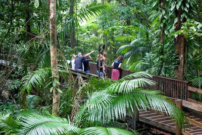 Feel the daintree’s ancient air, spot crocs on a cooper creek cruise, and wander mossman gorge with a local guide. includes pickup, lunch, and all entry fees.