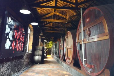 Scopri porto con un tour guidato nelle cantine del vino porto, degustando 7 vini unici in 3 diverse cantine. ingresso incluso, guida locale e tutte le spese, basta venire con voglia di assaggiare.