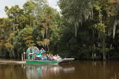 Erlebe eine rasante airboat-tour durch die zypressensümpfe bei jean lafitte nahe new orleans. entdecke alligatoren, vögel und schildkröten mit einem erfahrenen guide. optionaler hoteltransfer inklu