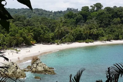 Manuel antonio, scimmie, bradipi e pappagalli rossi. spiagge di sabbia bianca, colazione e pranzo inclusi, con pick-up da san josé.