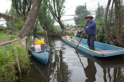 Scopri i colori di città del messico con un caffè, esplora i giardini galleggianti di xochimilco in trajinera, assaggia piatti tipici al mercato e incontra gli agricoltori. pranzo e giro in barca in