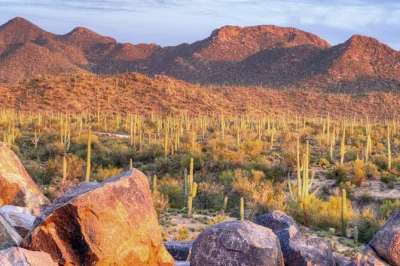 Feel the desert air on a tucson e-bike tour through saguaro’s wild cactus trails, with a local guide, park entry, and all gear included. book your spot today.