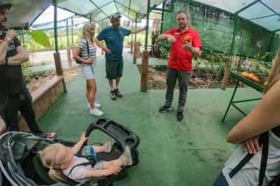 Scopri i profumi del caffè appena tostato e del cioccolato artigianale a la fortuna, costa rica, con un tour guidato tra sentieri accessibili e calore familiare.