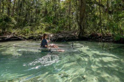 Float the chassahowitzka river in a clear kayak, swim at seven sisters springs, spot manatees with a local guide, and paddle hidden creeks. all gear included.